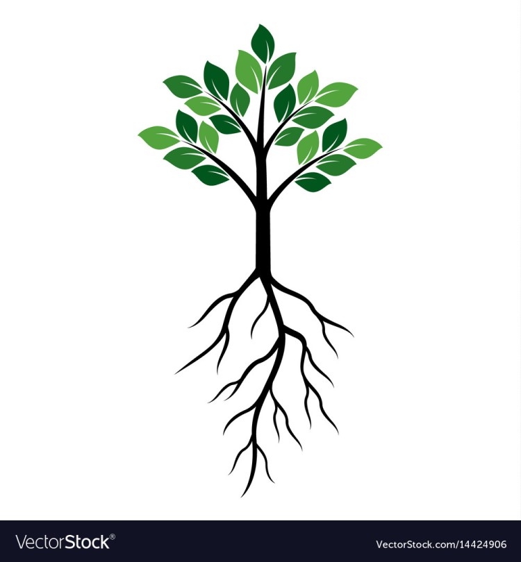 shape-of-green-tree-and-roots-vector-14424906